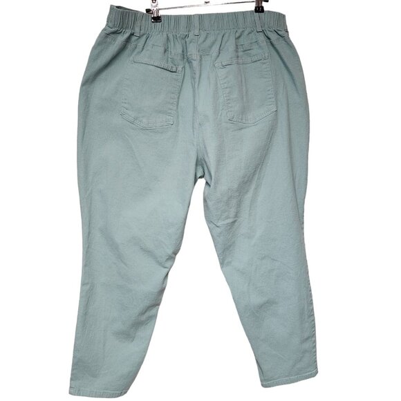 Denim & Co. Petite 2XP Aqua Green Classic Waist Stretch Pull-On Jeggings - Picture 2 of 4